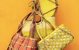 celebrity-designer-accused-of-smuggling-crocodile-skin-handbags-into-us