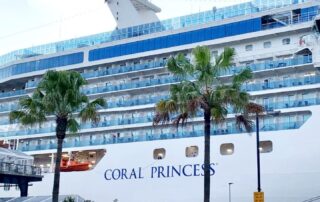 cruise-ships-set-to-return-to-sa,-but-opponents-say-coral-princess-outbreak-is-proof-it’s-too-soon