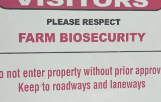 there’s-more-to-worry-about-than-just-fmd.-here-are-australia’s-‘clear-and-present’-biosecurity-dangers