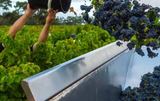 new-wine-markets-emerge-but-can’t-make-up-for-china’s-drop