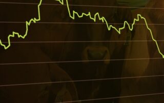 livestock-prices-are-falling.-is-fear-of-foot-and-mouth-disease-to-blame?