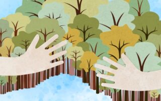 we’re-on-a-mission-to-find-australia’s-favourite-native-tree.-vote-now