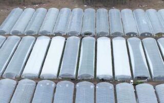 seven-charged-after-almost-$40m-worth-of-cannabis-seized-from-south-burnett-property