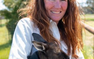 how-tourists’-cameras-are-helping-scientists-uncover-wildlife-mysteries