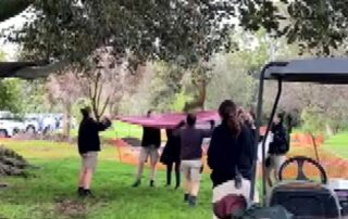 zookeepers-rescue-red-panda-stranded-on-tree-in-adelaide