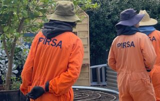 riverland-residents-get-free-fruit-tree-removal-to-help-control-fruit-fly