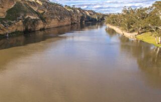 south-australia-has-a-new-advocate-for-the-river-murray,-but-irrigators-want-clarity-on-the-role
