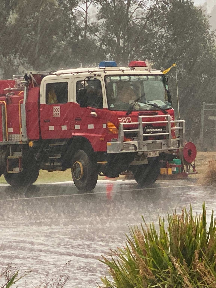 It might be a sodden spring for most, but this is Australia: There's ...