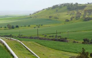 major-pipeline-project-paused-to-protect-20-newly-listed-threatened-bird-species