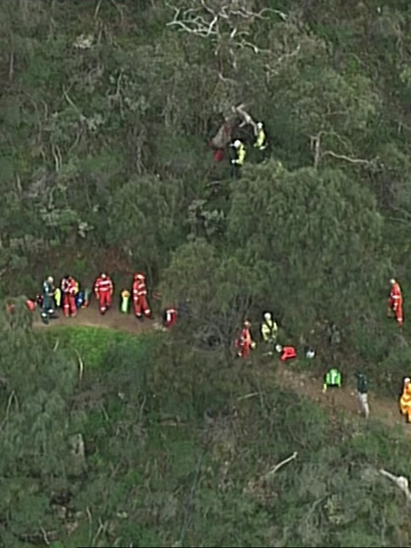 Man dies after falling from cliff at a popular hiking trail in Adelaide ...