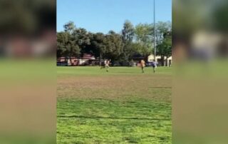video-captures-the-moment-football-player-is-harassed-by-a-swooping-magpie