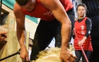click-goes-the-record-as-welsh-shearer-raises-the-sheep-count