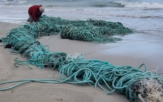 discarded-fishing-net-and-ropes-‘2-kilometres-long’-removed-from-kangaroo-island-seal-breeding-site
