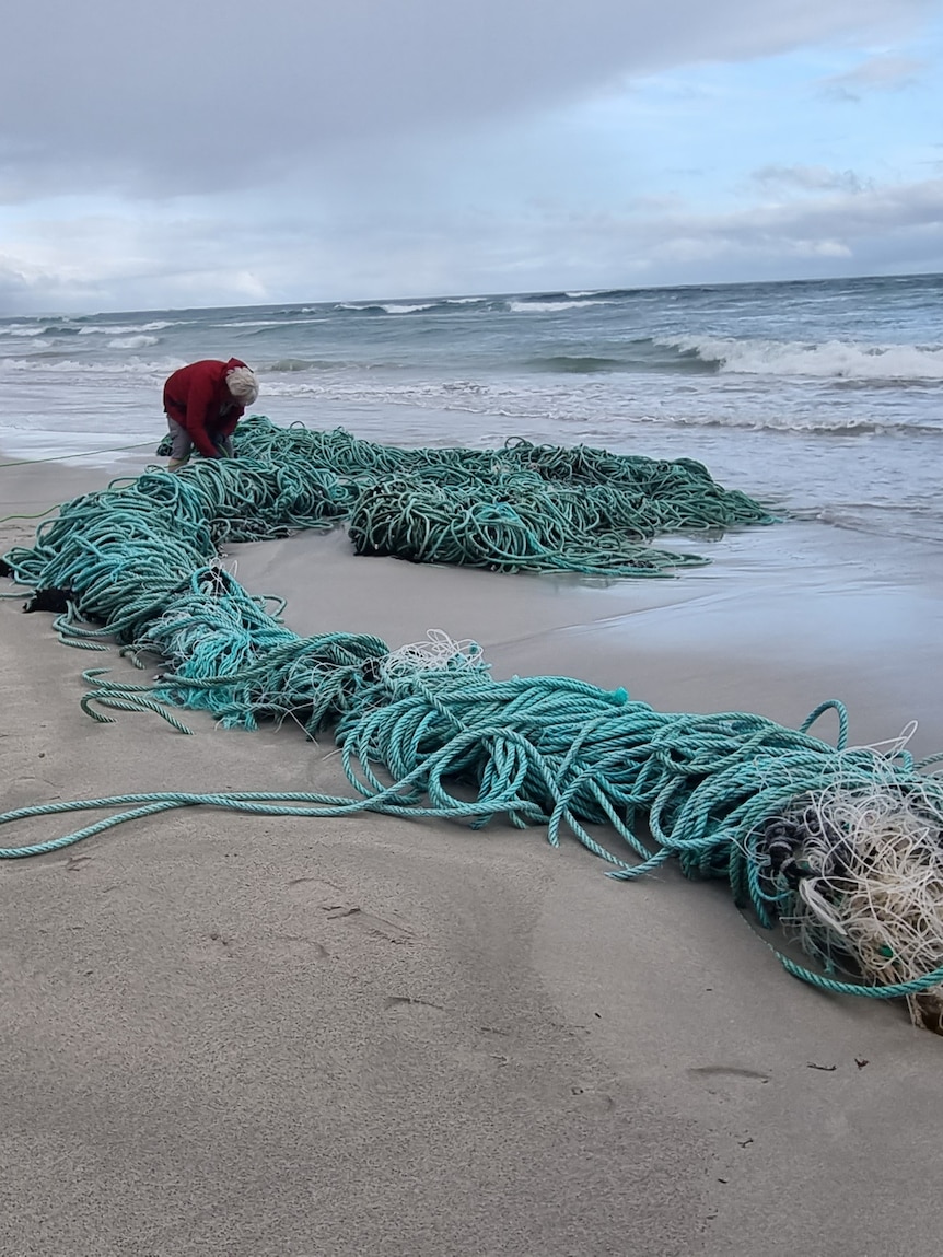 Discarded fishing net and ropes '2 kilometres long' removed from