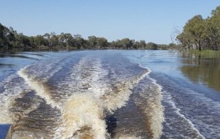murray-river-businesses-worry-flood-warning-could-dry-up-summer-trading