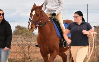 riding-for-the-disabled-association-issues-urgent-call-for-volunteers
