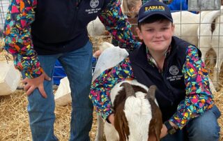 how-bazz-the-goat-is-bridging-the-gap-between-city-and-country