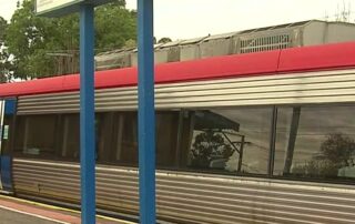 63yo-pedestrian-and-dog-die-after-being-struck-by-train