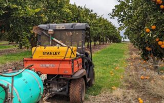 calls-to-double-the-number-of-sterile-fruits-flies-dropped-over-sa’s-riverland-by-plane