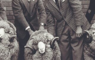 merino-sa-celebrates-a-century-of-sheer-excellence