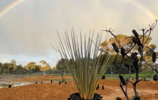 bushfire-razed-flora-to-be-saved-through-native-seed-garden