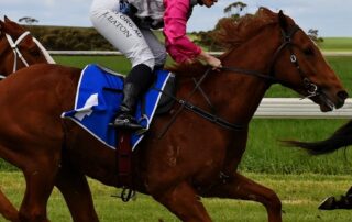 how-a-country-community-with-a-shrinking-population-saved-its-annual-horse-race