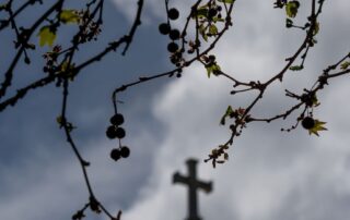 sa-catholic-schools-defend-jobkeeper-funding-against-claims-of-‘sugar-hit-to-their-profits’