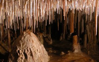 world-heritage-listed-naracoorte-caves-500,000-years-older-than-previously-thought,-research-reveals