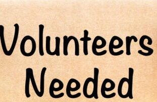 want-to-spend-some-time-volunteering?-finding-out-where-you’re-needed-is-harder-than-ever