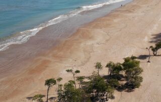 skull-among-‘large-number-of-bones’-discovered-by-bushwalker-near-darwin-beach,-crime-scene-in-place