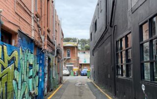 teen-undergoes-brain-surgery-after-alleged-car-park-attack in-laneway