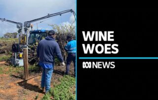 grape-growers-facing-tough-decisions-in-national-red-wine-glut