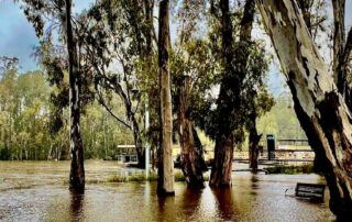 brief-respite-from-relentless-rain-won’t-save-your-weekend,-bom-says,-as-flood-warnings-issued