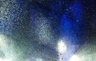 animal-rights-group-urges-world-music-festival-to-shed-falling-feathers-act