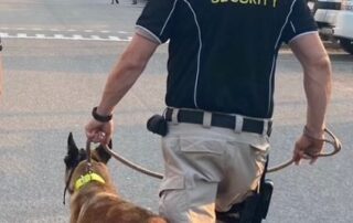 nt-police-minister-opposes-dog-squad-proposal-for-alice-springs-cbd