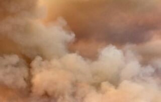 perfect-sa-growing-conditions-spark-summer-fire-fears