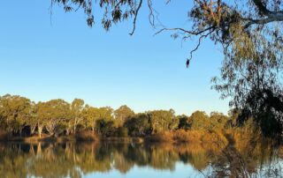 could-one-of-australia’s-largest-environmental-reforms-be-set-for-an-extension?