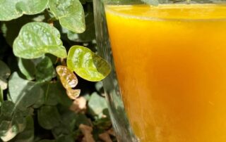 japan’s-thirst-for-australian-orange-juice-a-bright-spot-for-citrus-growers-during-tough-season