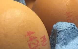 supermarkets-already-saying-‘no-thanks’ to-caged-eggs