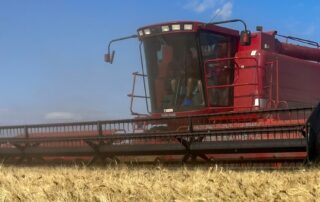 how-a-farmer-managed-to-grow-nt’s-first-wheat-crop-in-45-years