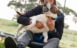 from-at-capacity-to-just-one-dog,-adoption-rates-are-soaring-at-this-regional-shelter