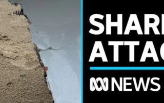 teen-surf-ski-competitor’s-board-attacked-by-large-shark