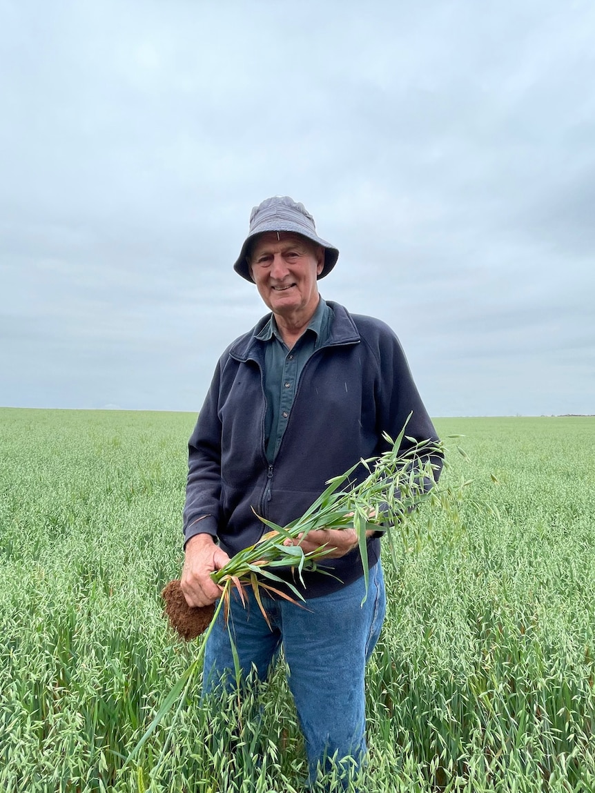 Mallee farmer-turned-mayor reflects on 40 years serving his community ...