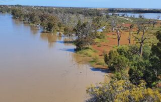 sa-government-revises-forecast-for-river-murray-flows,-higher-peaks-expected
