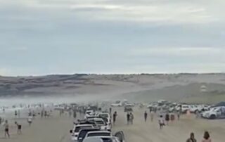 speed-limit-slashed-at-popular-regional-beach-in-a-bid-to-protect-birds,-horses-and-children