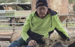 napperby-farmer-pleads-for-answers-on-lead-contamination
