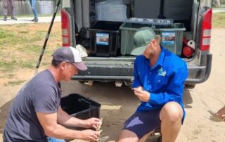 volunteers-race-to-save-native-fish-from-blackwater-contaminated-waterways-as-warm-weather-worsens-pollution