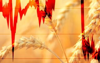 it-was-a-rollercoaster-week-for-wheat.-what-happens-next?