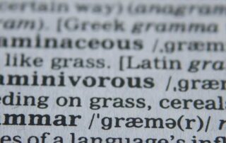 ‘it-wasn’t-our-intention’:-education-authorities-fail-to-block-grammar-app-during-english-exam