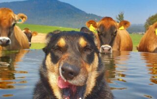 today’s-not-the-day-to-take-a-farmer-for-granted